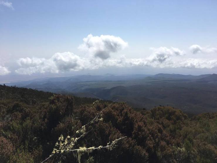 20891584_10105620833237189_680837871_n